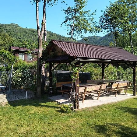 Casa De Vacanta Vidrighin Rau Sadului Eksteriør bilde