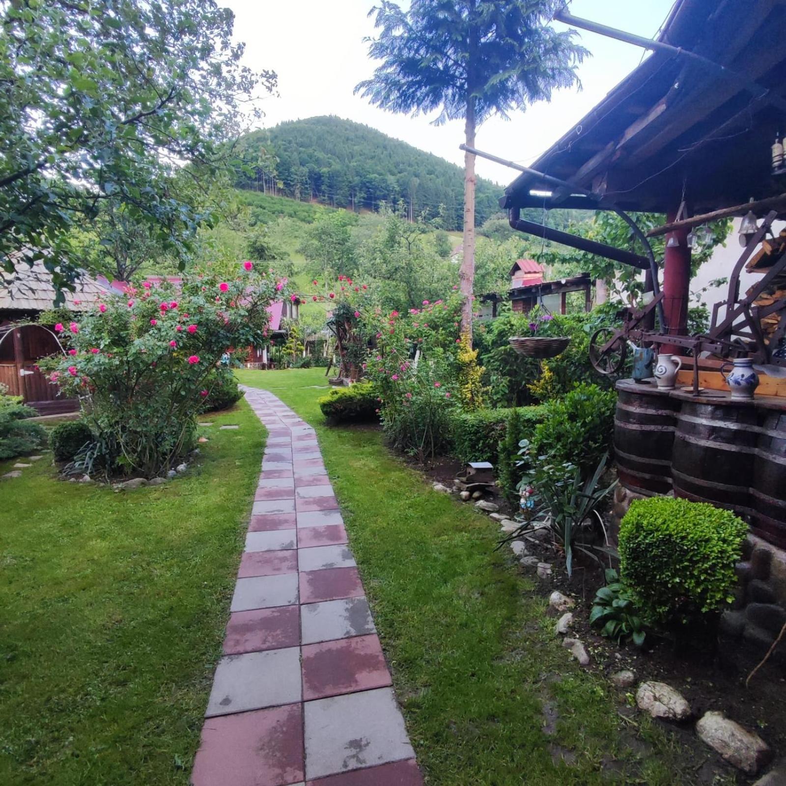 Casa De Vacanta Vidrighin Rau Sadului Rom bilde