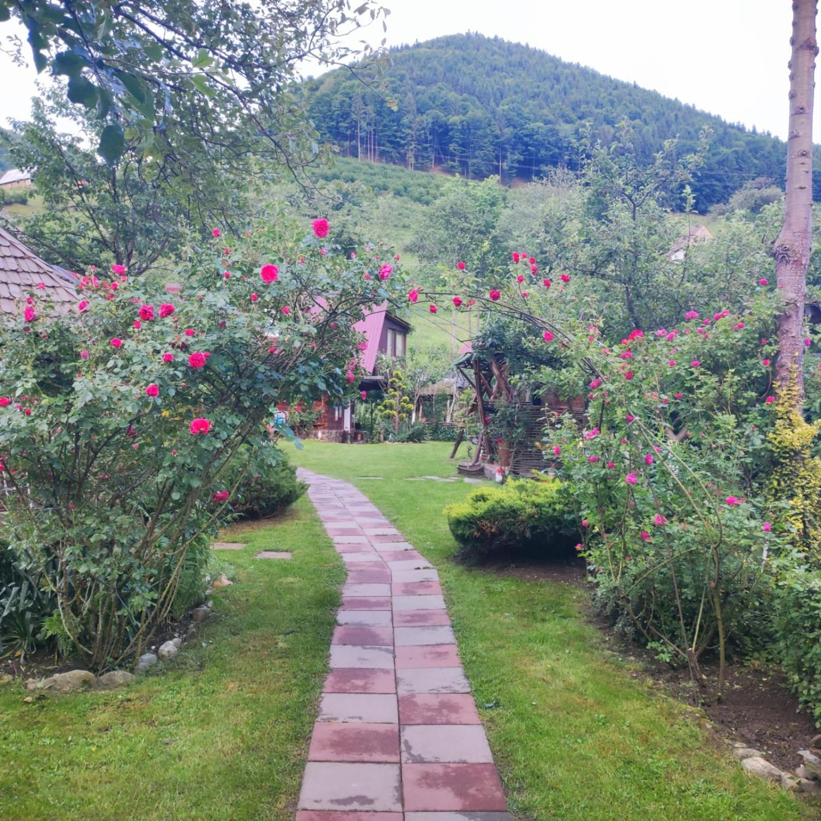 Casa De Vacanta Vidrighin Rau Sadului Rom bilde