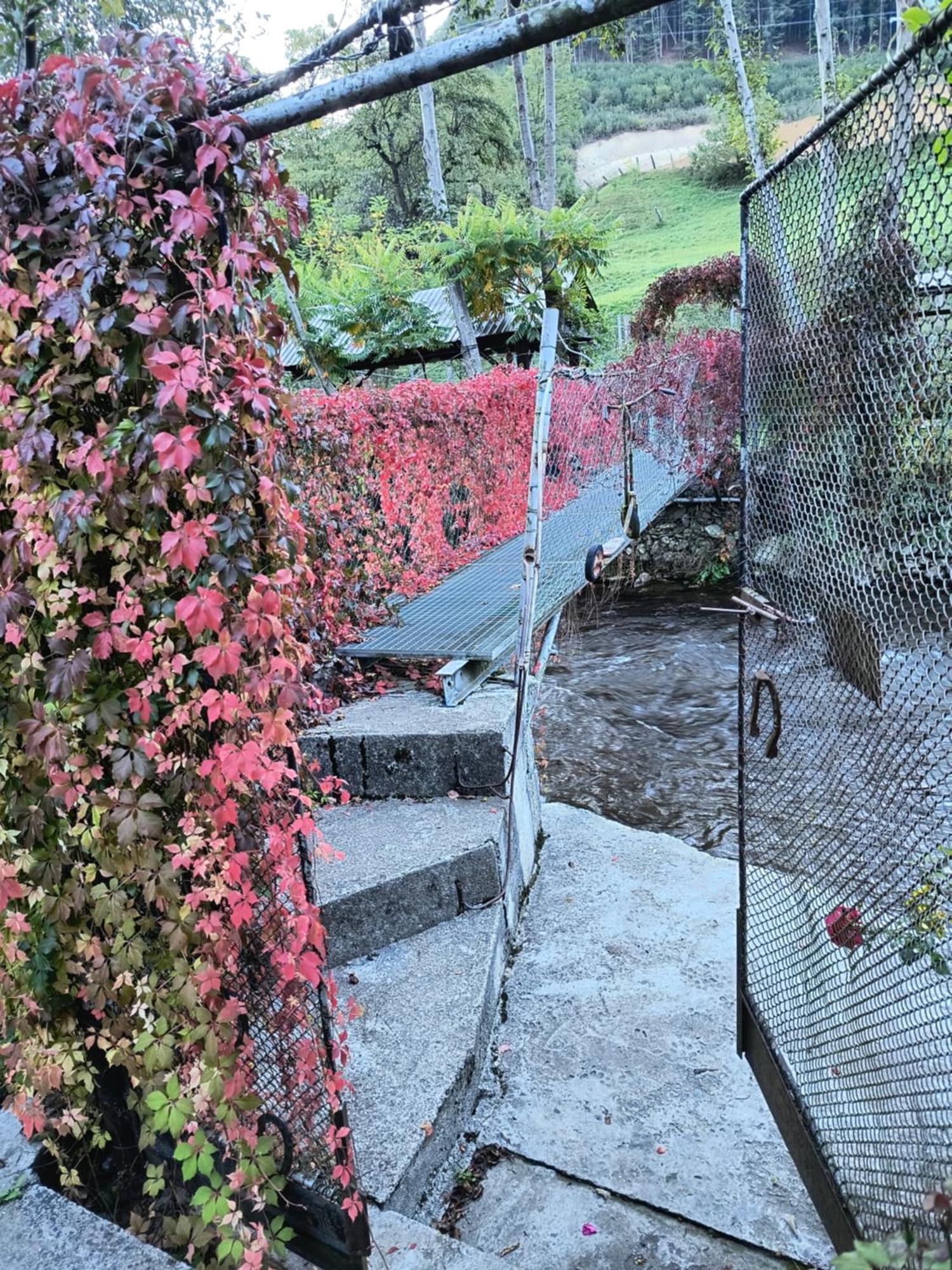 Casa De Vacanta Vidrighin Rau Sadului Rom bilde