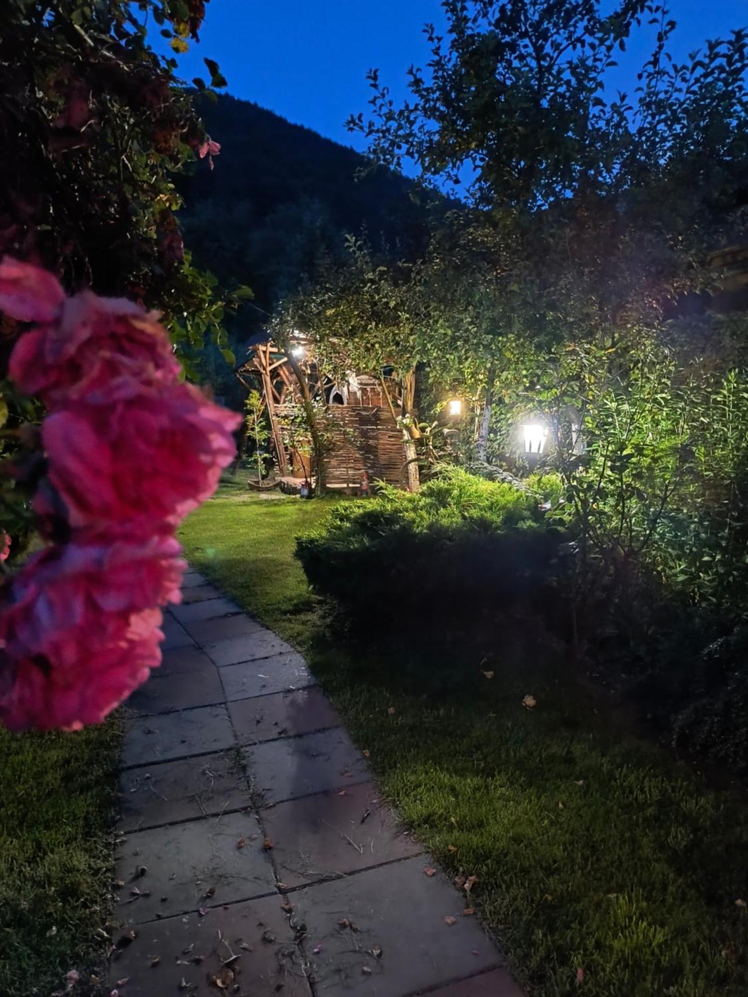 Casa De Vacanta Vidrighin Rau Sadului Rom bilde