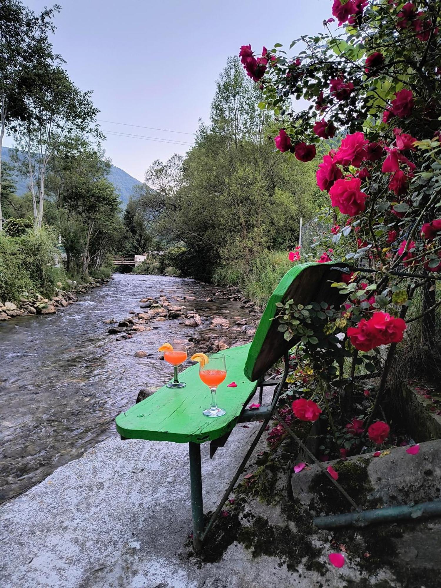 Casa De Vacanta Vidrighin Rau Sadului Rom bilde