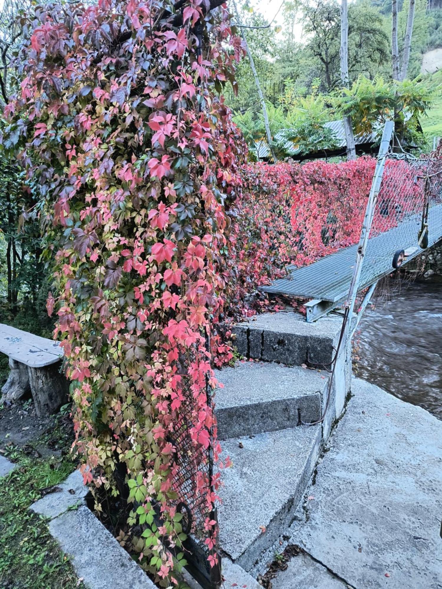 Casa De Vacanta Vidrighin Rau Sadului Eksteriør bilde